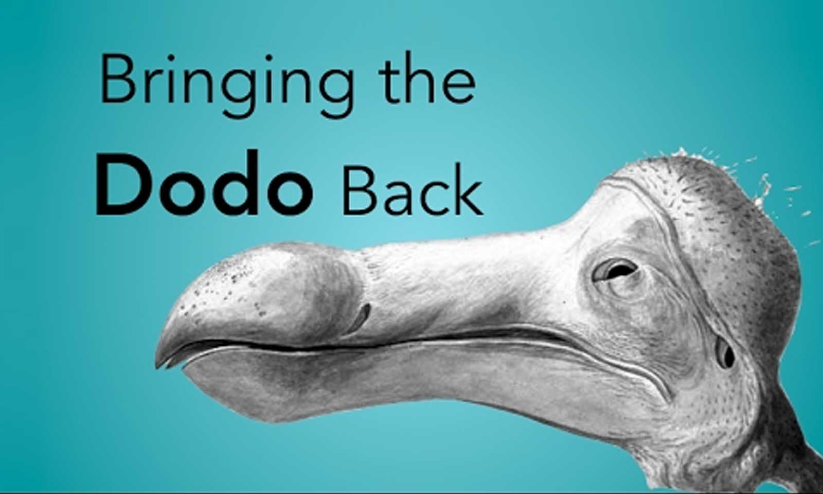 Clonage dodo