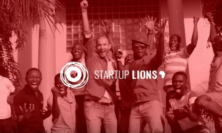 Startup Lions