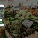 Discover Eloléo, a mobile application of ultra short circuit and in real time, between local producers and consumers nearby.